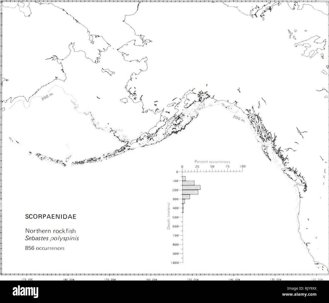 . Atlas et la zoogéographie des poissons communs dans la mer de Béring et du Pacifique Nord-Est / M. James Allen, Gary B. Smith. La répartition géographique des poissons de la mer de Béring.. Le NORD DU Sebastes (polyspinis Taranets Moiseev et 1933) Scorpaenidae : littérature de l'est signalé rayonnées Kamchatka à la mer de Béring, à l'ouest des îles Aléoutiennes à Amchitka Island, à l'Est de l'Alaska, Yakutat (Quast et Hall, 1972 ; Simenstad et al. 1977 ; Eschmeyer et Herald 1983), à des profondeurs de 73 à 358 m (Eschmeyer et Herald 1983). Les données d'enquête a trouvé des Pervenets Canyon sur le versant nord-ouest de l'Est Banque D'Images