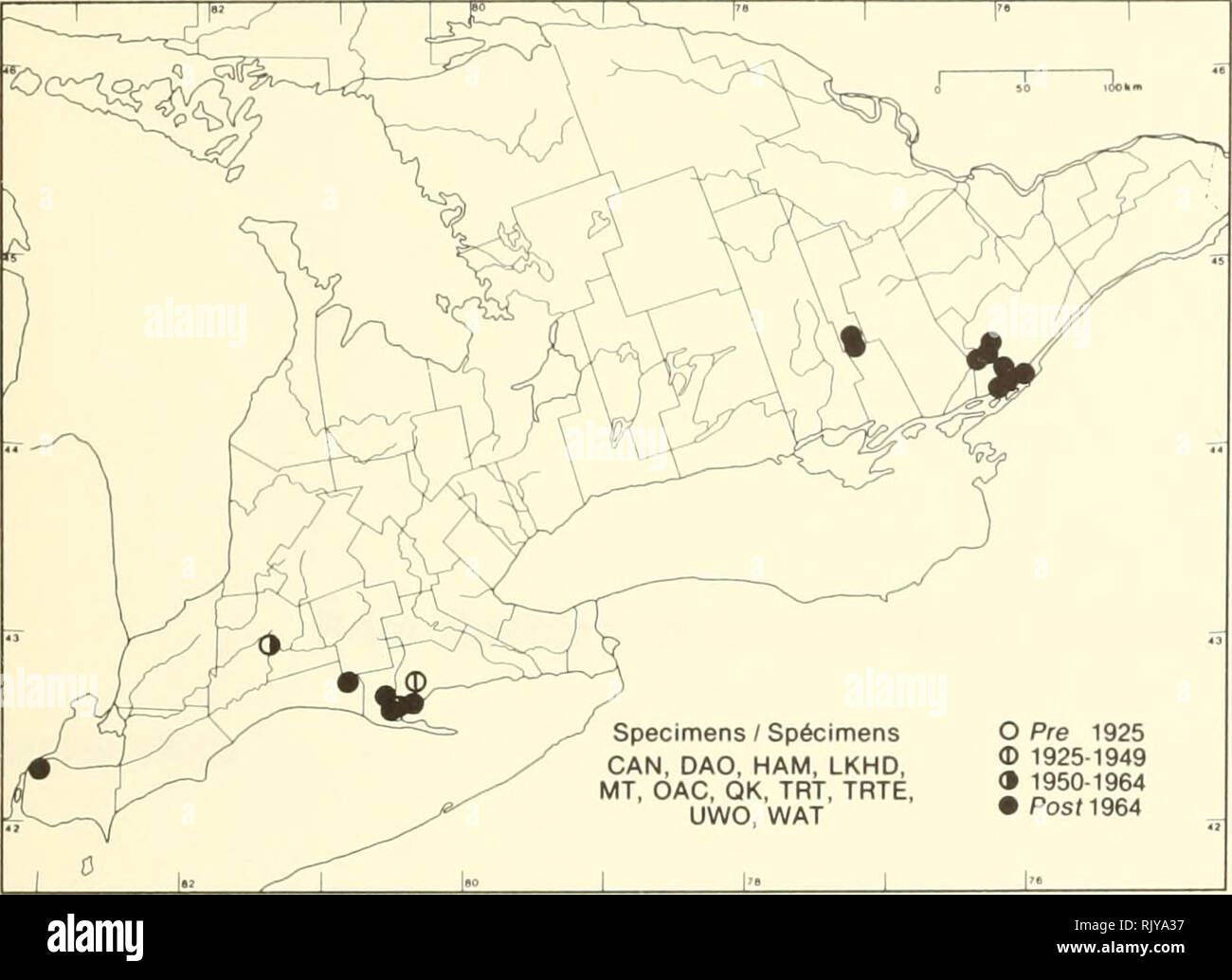 . Atlas des plantes vasculaires rares de l'Ontario. Les plantes rares, la botanique. Atlas des plantes vasculaires rares de l'Ontario/Atlas des plantes vasculaires rares de l'Ontario ANACARDIACEAE Rhus copallina L. var. latifolia Engl. Sumac sumac brillant Ã le copal. / Spécimens SPÖ©cimens POUVEZ, DAG, jambon, LKHD, TM, OAC, QK, TRT TRTE UWO,,, WAT O Pre 1925 Â© 1925-1949 &lt;Â" 1950-1964 â ¢ PosM964. Veuillez noter que ces images sont extraites de la page numérisée des images qui peuvent avoir été retouchées numériquement pour plus de lisibilité - coloration et l'aspect de ces illustrations ne peut pas parfaitement ressembler à l'œuvre originale.. Arg Banque D'Images