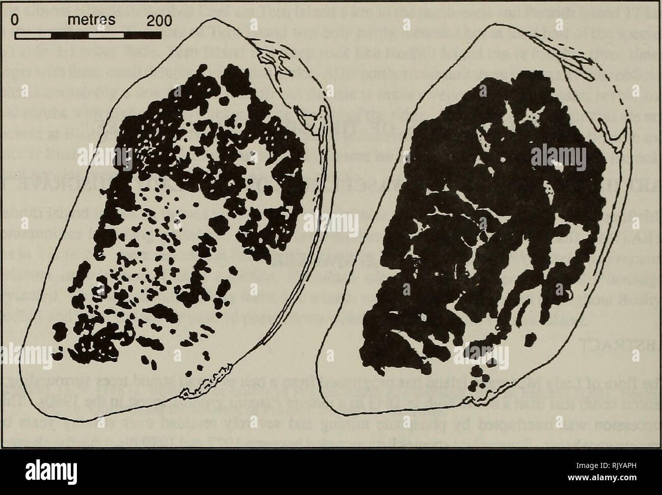 . Bulletin de recherche sur les atolls. Les récifs coralliens et d'îles ; biologie marine ; sciences de la mer. 32. Fig. 3-1. Lady Musgrave Island en 1967 et, en 1987, montrant l'augmentation de la couverture par Pisonia grandis plus de vingt ans. Quelques arbres isolés n'étaient pas identifiables à partir de la photographie aérienne. Dans l'ensemble, complètement encerclé l'île, qui n'est pas un quart de mille de diamètre. À l'intérieur de cette crête régulière avait des tas épars de la même substance, l'ensemble de l'encerclant une petite plage de sable clair. Encerclant la crête était occupé par une ceinture de petits arbres, tandis que dans la plaine, n'a affiché qu'une courte végétation broussailleuse, un Banque D'Images