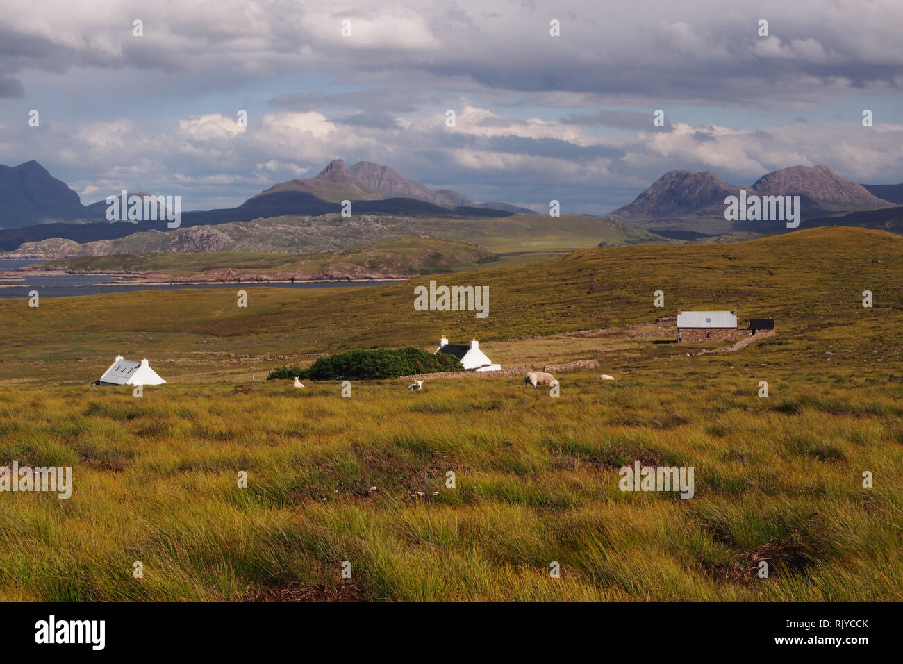 Vue d'une petite communauté sur le crofting ancienne péninsule Coigach Ecosse, avec des moutons en premier plan et les montagnes en arrière-plan Banque D'Images
