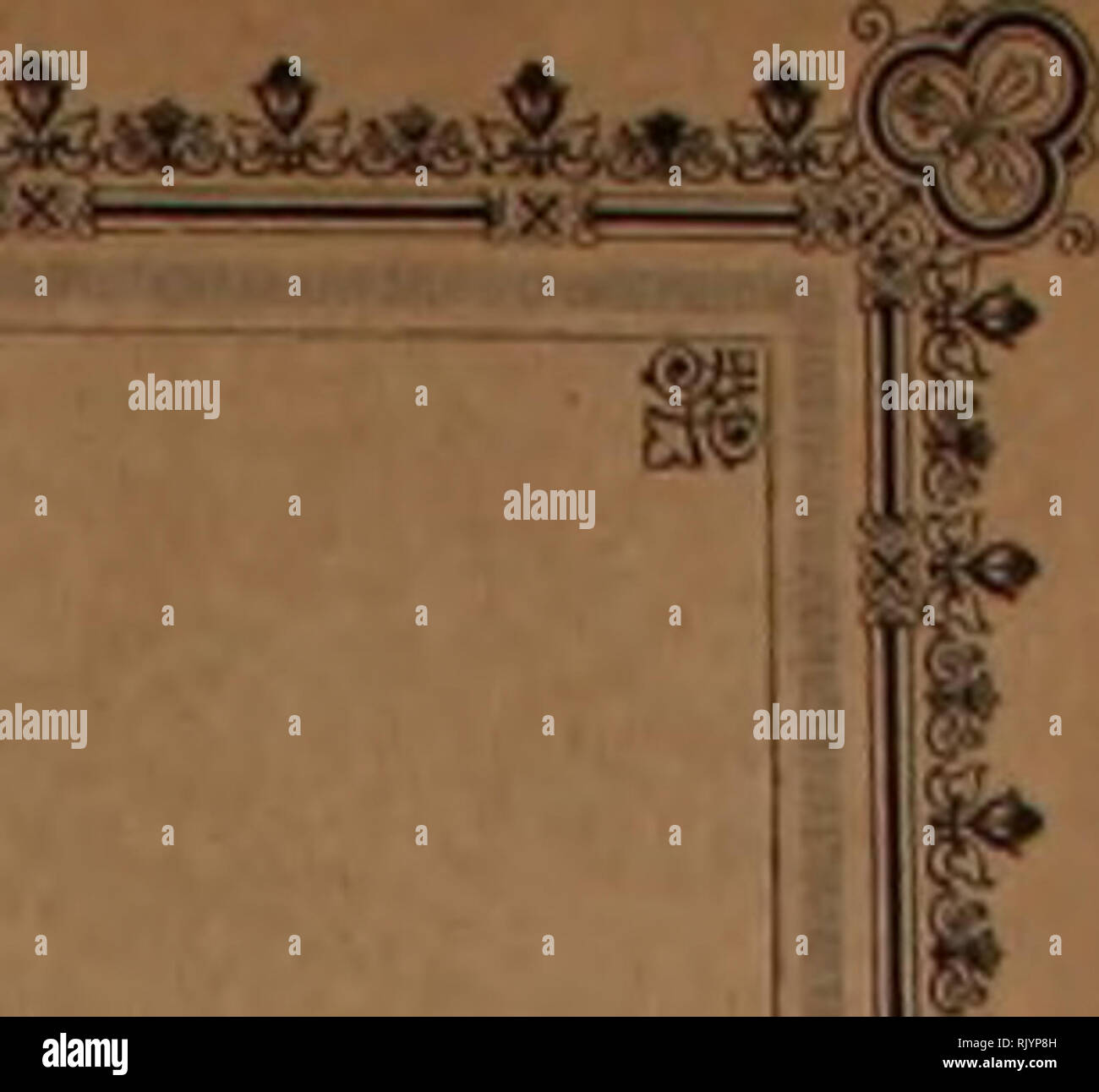 . Atlas der Diatomaceen-Kunde. V-/X* &gt ; j x s 1 x i Â" Â"* = : &Lt ; X . Riec. DKM-DIATOMACEEN ATLAS KUNDE VON ic IW JP 1M11 Heft 38&Lt ; =â€i LEIPZIG. u.R. BEISLA.ND -^x I ' x : !Â Â 73§* !Â£ '-W*-1 ^^^^ fsf****. Veuillez noter que ces images sont extraites de la page numérisée des images qui peuvent avoir été retouchées numériquement pour plus de lisibilité - coloration et l'aspect de ces illustrations ne peut pas parfaitement ressembler à l'œuvre originale.. Schmidt, Adolf, 1812-1899. Leipzig : O. R. Reisland Banque D'Images