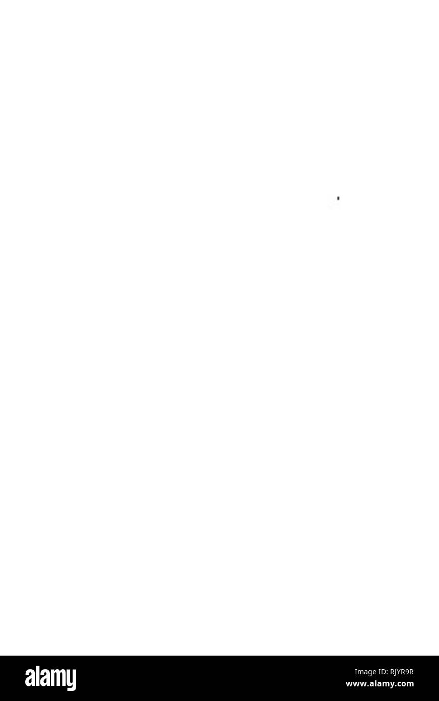 . Les diatomées d'Auvergne. Les diatomées ; Fragilariaceae ; PALÉONTOLOGIE. . Veuillez noter que ces images sont extraites de la page numérisée des images qui peuvent avoir été retouchées numériquement pour plus de lisibilité - coloration et l'aspect de ces illustrations ne peut pas parfaitement ressembler à l'œuvre originale.. Héribaud Joseph, frère, 1841-1918. Clermont-Ferrand : Pensionnat des Frères des écoles chrétiennes ; Paris : Librairie des sciences naturelles, P. Klincksieck Banque D'Images