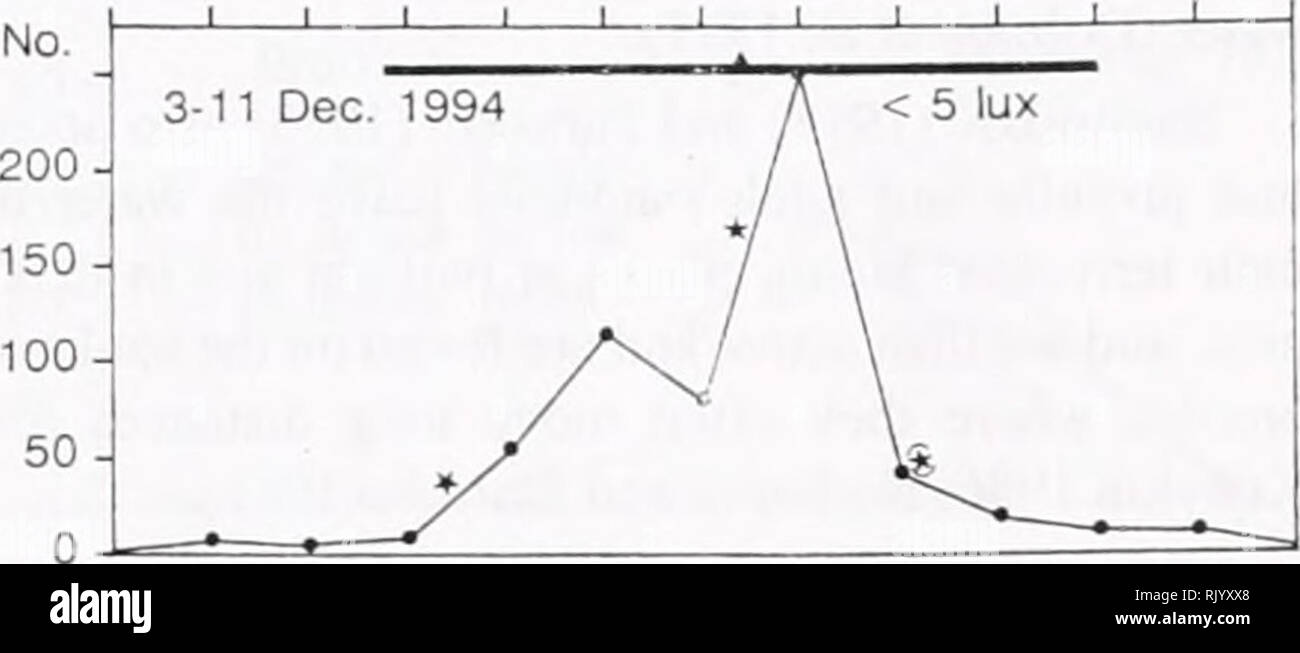 . L'asiatique recherche herpétologique. Reptiles -- Asie périodiques ; Amphibiens -- Asie périodiques. Recherche herpétologique Asiatique 1999 vol 8, p. 33 heures. 12 14 16 1 ! 20 22 00 02 04 06 08 10 12. H. 13 15 17 19 21 23 01 03 05 07 09 11 13 No Figure 3.L'activité nycthémérale de deux Ranodon sibiricus spécimens conservés dans un aquarium dans des condi- tions pour huit jours et nuits en décembre 1994, basée sur la lumière IR/méthode photoélectrique. Niveau de signification statis- tical : * P&lt;0.05. L'intensité de la lumière il y avait un peu plus bas et l'activité a probablement commencé à une valeur très proche de 5 lux. Banque D'Images