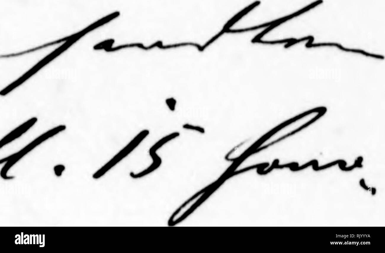 . Arthur et Fritz Kahn Collection 1889-1932. Fritz Kahn, 1888-1968 ; Kahn, Arthur David 1850-1928 ; natural history illustrateurs ; histoire naturelle. w - ^^nr ^ ». J'^^^./s. Veuillez noter que ces images sont extraites de la page numérisée des images qui peuvent avoir été retouchées numériquement pour plus de lisibilité - coloration et l'aspect de ces illustrations ne peut pas parfaitement ressembler à l'œuvre originale.. Kahn, Arthur et Fritz. Banque D'Images