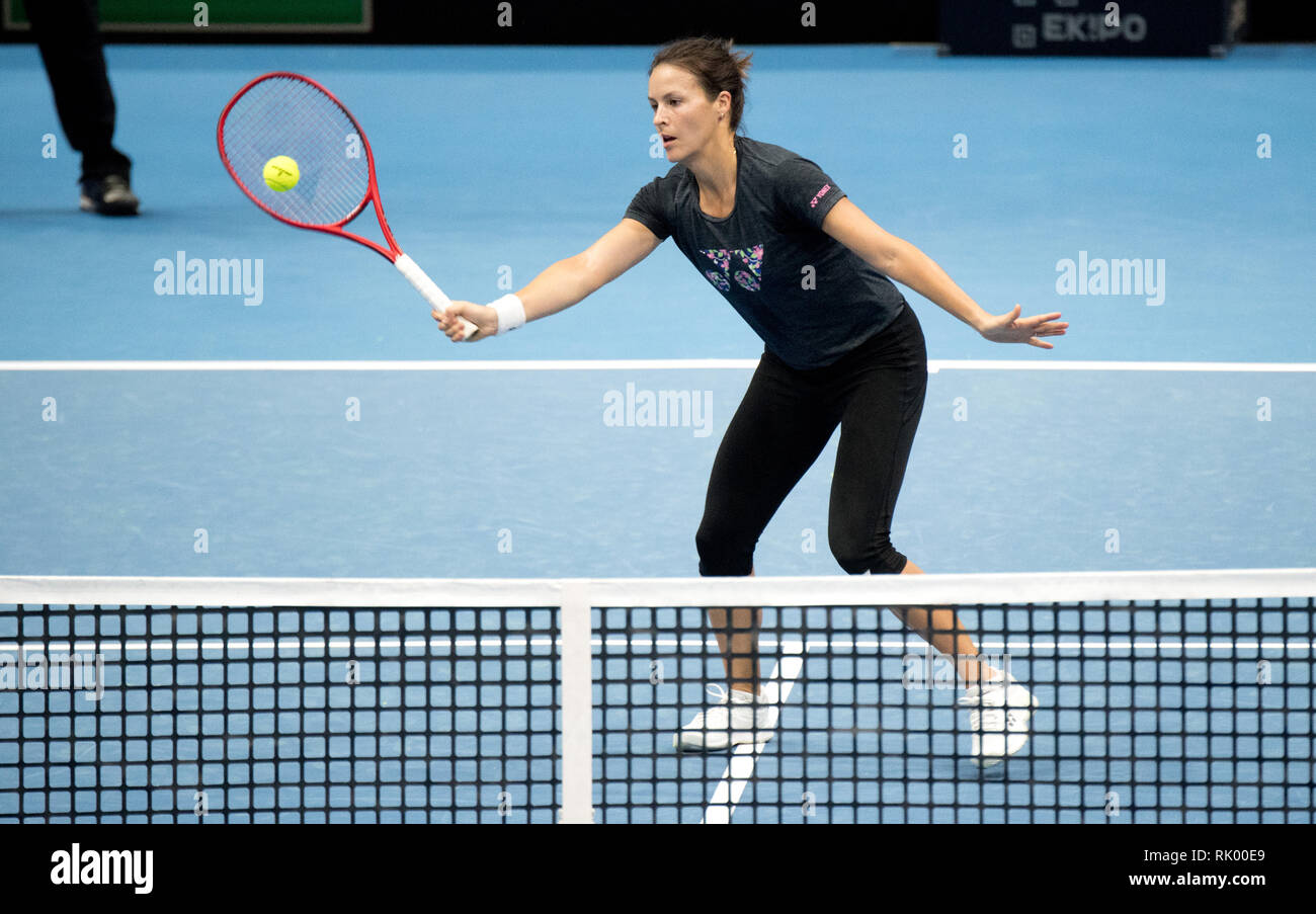Braunschweig, Allemagne. Le 08 février, 2019. Tennis, mesdames : Russie - Coupe du Monde de groupe, 1er tour, l'Allemagne - Bélarus : l'Allemagne bat la balle Tatjana Maria durant la formation. Credit : Julian Stratenschulte/dpa/Alamy Live News Banque D'Images