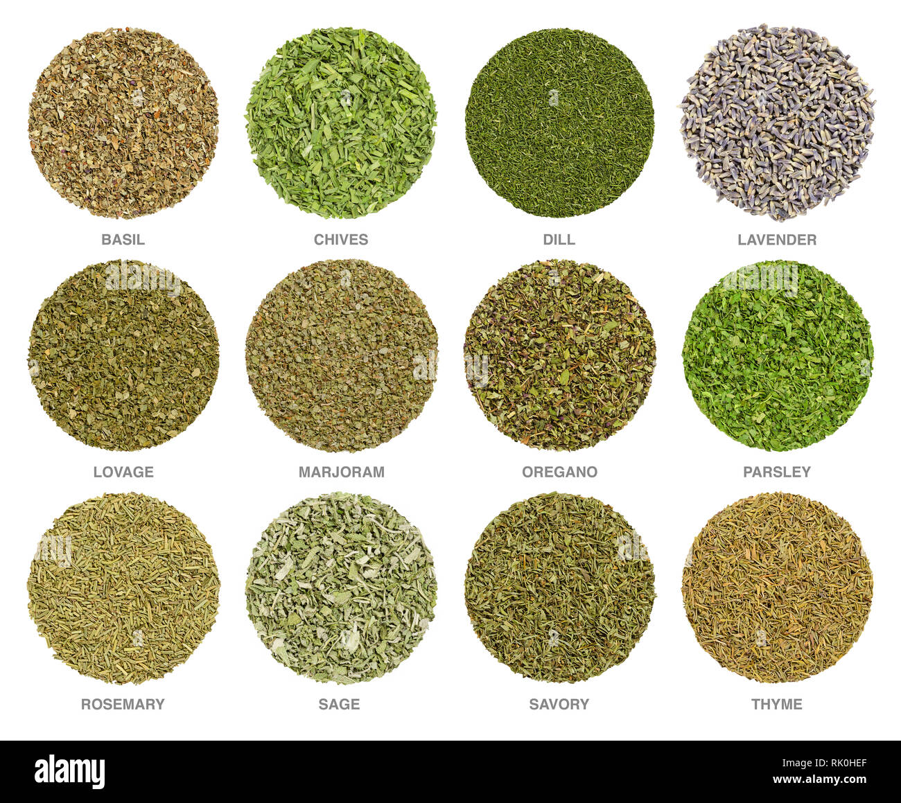 Douze communes séchées herbes culinaires, des cercles. Les additifs alimentaires séchées, utilisées pour la cuisson, d'en haut, isolé, gros plan, macro photo. Banque D'Images