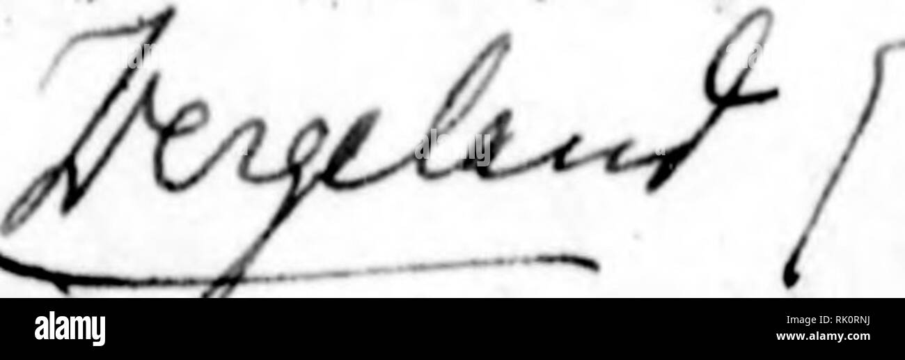 . Arthur et Fritz Kahn Collection 1889-1932. Fritz Kahn, 1888-1968 ; Kahn, Arthur David 1850-1928 ; natural history illustrateurs ; l'histoire naturelle. &Lt ;^ %y' /drt-Cc^^- Jfr-*-'-^^^^*. Veuillez noter que ces images sont extraites de la page numérisée des images qui peuvent avoir été retouchées numériquement pour plus de lisibilité - coloration et l'aspect de ces illustrations ne peut pas parfaitement ressembler à l'œuvre originale.. Kahn, Arthur et Fritz. Banque D'Images