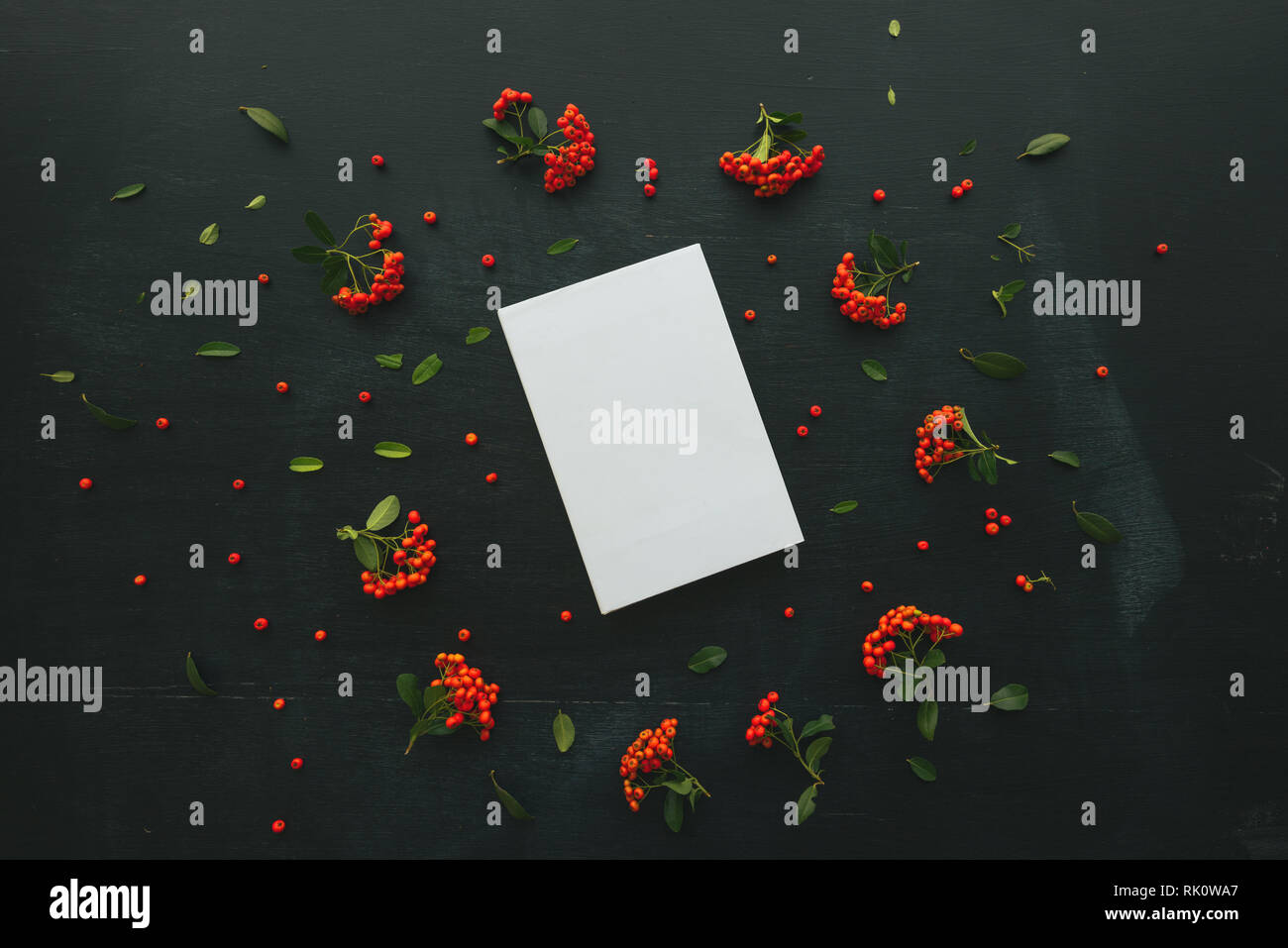 Couverture cartonnée couverture de livre design maquette vue de dessus passage tourné avec arrangement de fleurs, tons rétro télévision jeter le minimalisme Banque D'Images