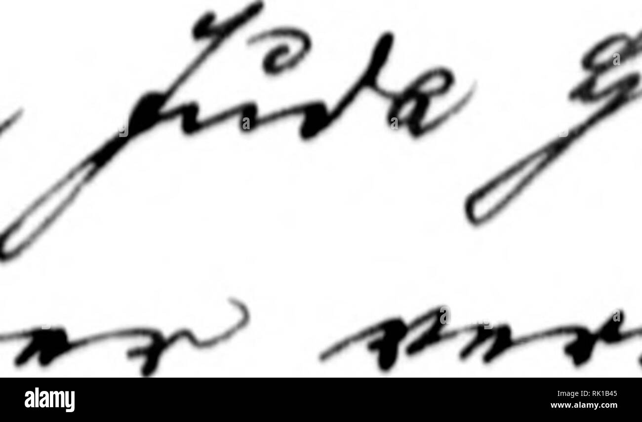 . Arthur et Fritz Kahn Collection 1889-1932. Fritz Kahn, 1888-1968 ; Kahn, Arthur David 1850-1928 ; natural history illustrateurs ; l'histoire naturelle. ^^^^ :. ^4 *"^^^J"^^^^*" -"^ ^«^^^ j"^^ &gt ;**^^^^^^^'4 ' i k. Veuillez noter que ces images sont extraites de la page numérisée des images qui peuvent avoir été retouchées numériquement pour plus de lisibilité - coloration et l'aspect de ces illustrations ne peut pas parfaitement ressembler à l'œuvre originale.. Kahn, Arthur et Fritz. Banque D'Images