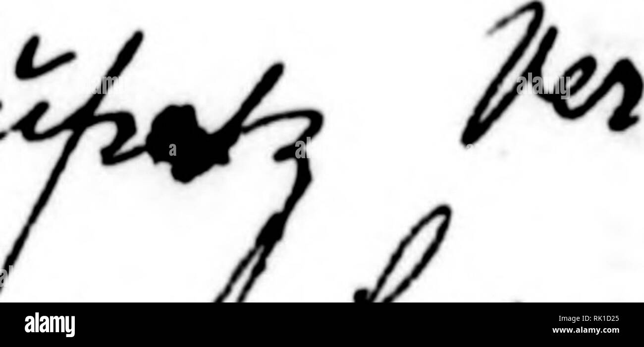 . Arthur et Fritz Kahn Collection 1889-1932. Fritz Kahn, 1888-1968 ; Kahn, Arthur David 1850-1928 ; natural history illustrateurs ; l'histoire naturelle. WOctx» ^ « ^ J&lt;cctm^. Veuillez noter que ces images sont extraites de la page numérisée des images qui peuvent avoir été retouchées numériquement pour plus de lisibilité - coloration et l'aspect de ces illustrations ne peut pas parfaitement ressembler à l'œuvre originale.. Kahn, Arthur et Fritz. Banque D'Images