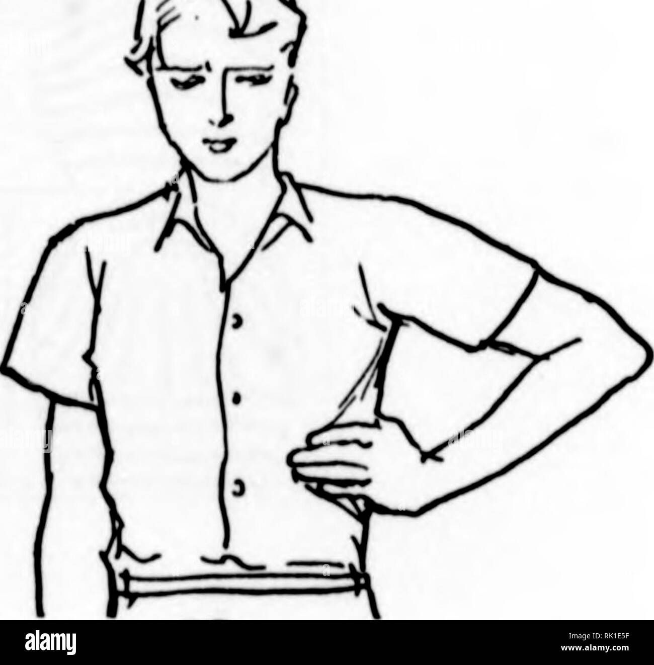 . Arthur et Fritz Kahn Collection 1889-1932. Fritz Kahn, 1888-1968 ; Kahn, Arthur David 1850-1928 ; natural history illustrateurs ; l'histoire naturelle. Ici les rênes. Veuillez noter que ces images sont extraites de la page numérisée des images qui peuvent avoir été retouchées numériquement pour plus de lisibilité - coloration et l'aspect de ces illustrations ne peut pas parfaitement ressembler à l'œuvre originale.. Kahn, Arthur et Fritz. Banque D'Images