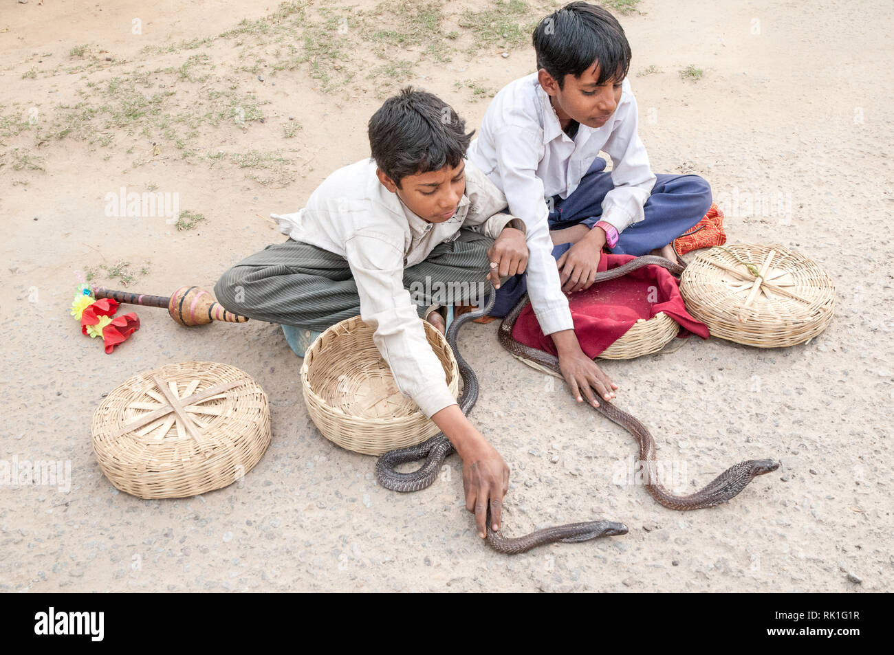 Deux jeunes garçons montrent les Cobras dans un village à l'extérieur de l'Agra. Montre Snake snake et charmant qui est populaire en Inde. Banque D'Images