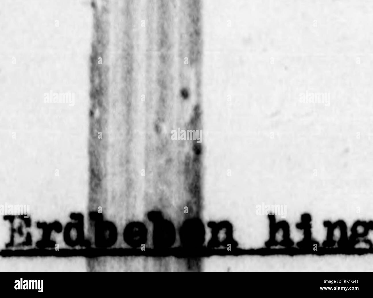 . Arthur et Fritz Kahn Collection 1889-1932. Fritz Kahn, 1888-1968 ...