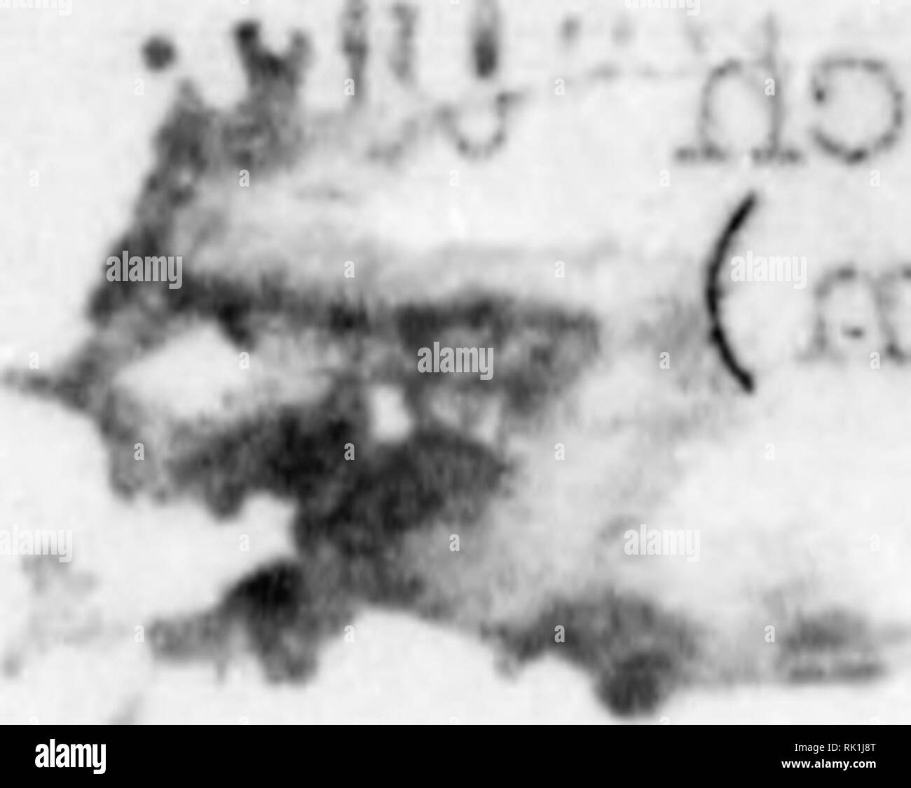 David Weil Banque D Images Noir Et Blanc Alamy David Weil Banque D Images Noir Et Blanc Alamy