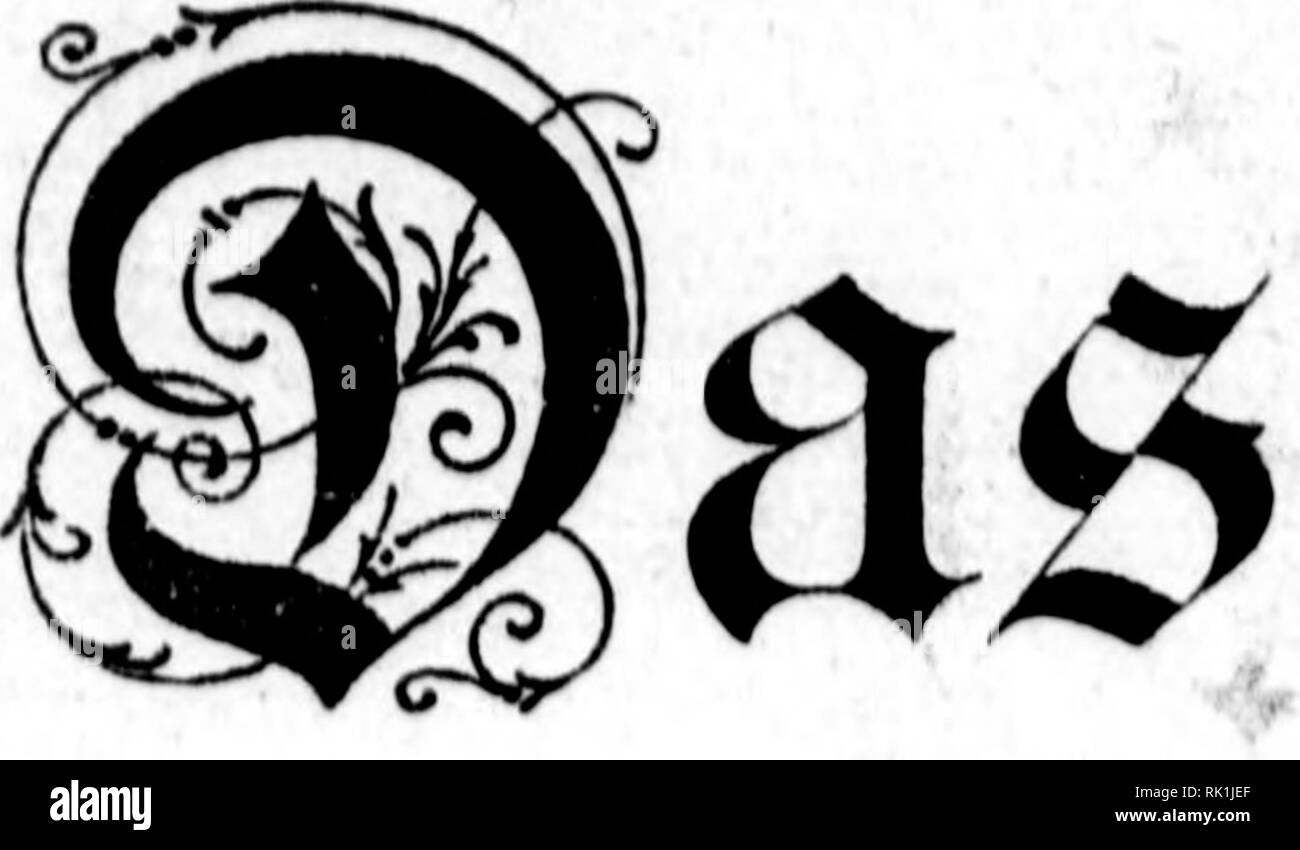 . Arthur et Fritz Kahn Collection 1889-1932. Fritz Kahn, 1888-1968 ; Kahn, Arthur David 1850-1928 ; natural history illustrateurs ; l'histoire naturelle. L ^^' y. &Lt ;. Veuillez noter que ces images sont extraites de la page numérisée des images qui peuvent avoir été retouchées numériquement pour plus de lisibilité - coloration et l'aspect de ces illustrations ne peut pas parfaitement ressembler à l'œuvre originale.. Kahn, Arthur et Fritz. Banque D'Images