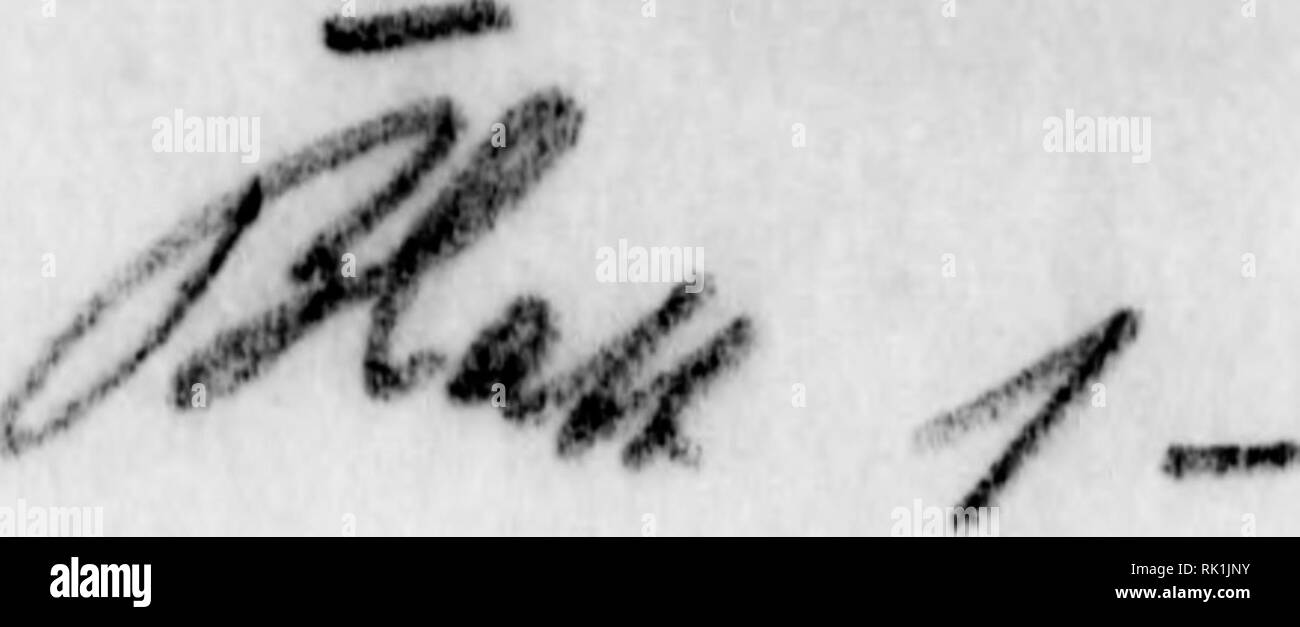 Ta Daa Banque D Image Et Photos Alamy