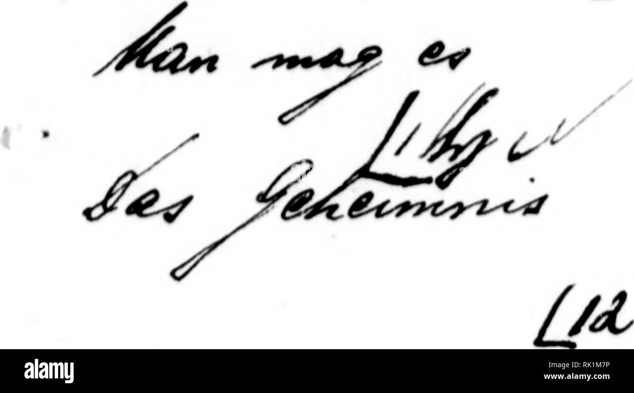 . Arthur et Fritz Kahn Collection 1889-1932. Fritz Kahn, 1888-1968 ; Kahn, Arthur David 1850-1928 ; natural history illustrateurs ; l'histoire naturelle. *^^7j&Lt ;^^ ?""^-^^»^^. r / //^^/s. Veuillez noter que ces images sont extraites de la page numérisée des images qui peuvent avoir été retouchées numériquement pour plus de lisibilité - coloration et l'aspect de ces illustrations ne peut pas parfaitement ressembler à l'œuvre originale.. Kahn, Arthur et Fritz. Banque D'Images