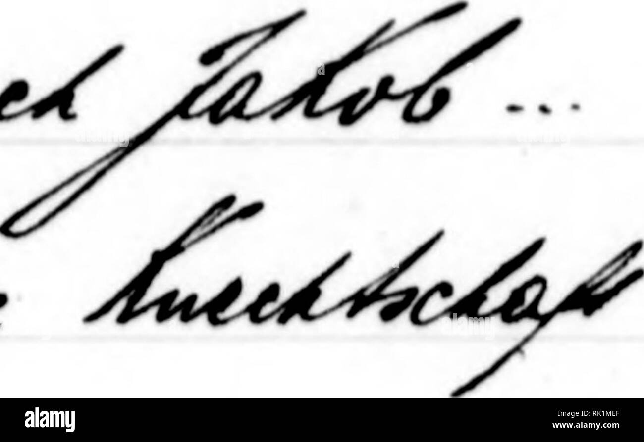 . Arthur et Fritz Kahn Collection 1889-1932. Fritz Kahn, 1888-1968 ; Kahn, Arthur David 1850-1928 ; natural history illustrateurs ; l'histoire naturelle. ^^ ^U€4M y/rl^^^t Ui^ ^^ Cue 6-1/T/L&Lt ; un ^^^m^4 !z^. ^ ^fT. Veuillez noter que ces images sont extraites de la page numérisée des images qui peuvent avoir été retouchées numériquement pour plus de lisibilité - coloration et l'aspect de ces illustrations ne peut pas parfaitement ressembler à l'œuvre originale.. Kahn, Arthur et Fritz. Banque D'Images