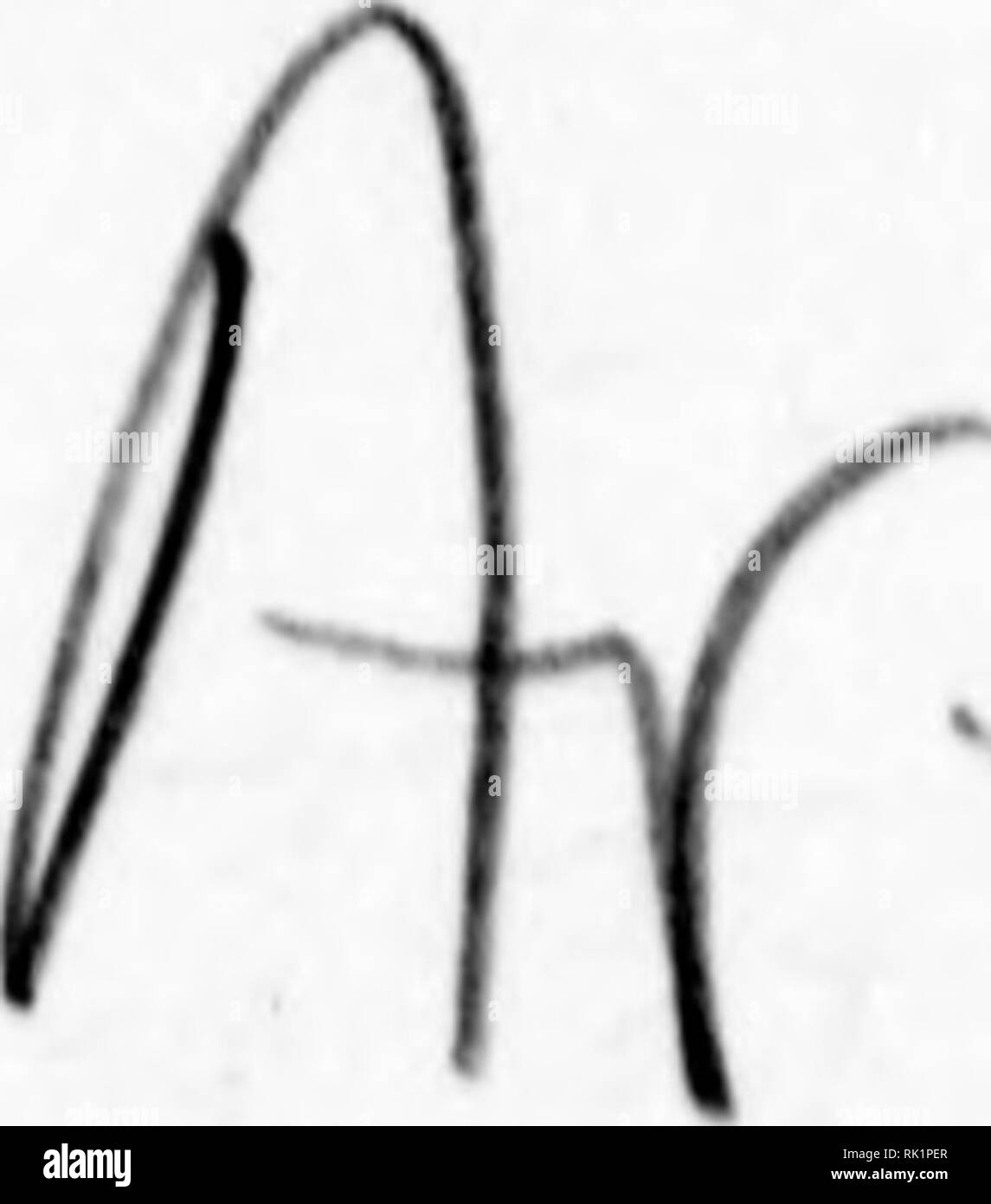 . Arthur et Fritz Kahn Collection 1889-1932. Fritz Kahn, 1888-1968 ; Kahn, Arthur David 1850-1928 ; natural history illustrateurs ; histoire naturelle. düocno 0 e (. y. Veuillez noter que ces images sont extraites de la page numérisée des images qui peuvent avoir été retouchées numériquement pour plus de lisibilité - coloration et l'aspect de ces illustrations ne peut pas parfaitement ressembler à l'œuvre originale.. Kahn, Arthur et Fritz. Banque D'Images