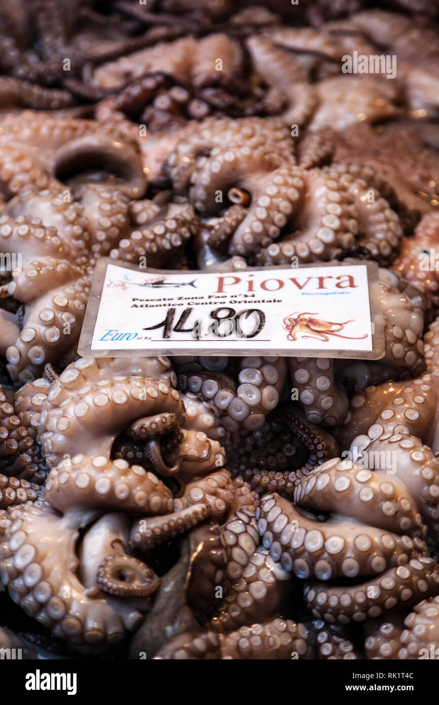 Le poulpe, le marché aux poissons, Venise, Italie Banque D'Images