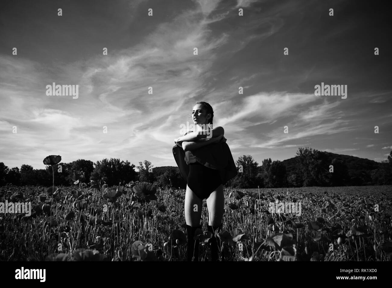 L'opium, femme ou fille dans champ de fleur de pavot Graines Banque D'Images