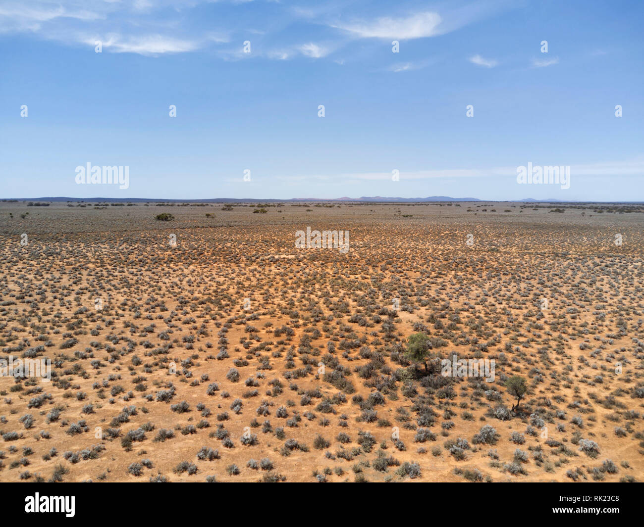 Vue aérienne de pistes à travers des moutons bleus pastrol bush aride de la péninsule d'Eyre pays Australie du Sud Banque D'Images