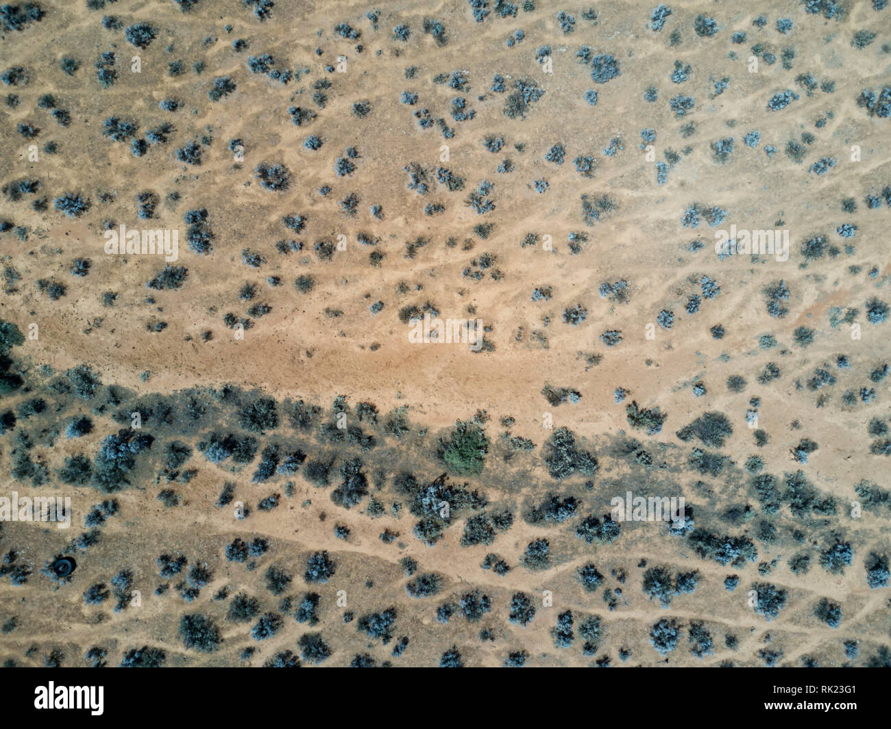 Vue aérienne de pistes à travers des moutons bleus pastrol bush aride de la péninsule d'Eyre pays Australie du Sud Banque D'Images