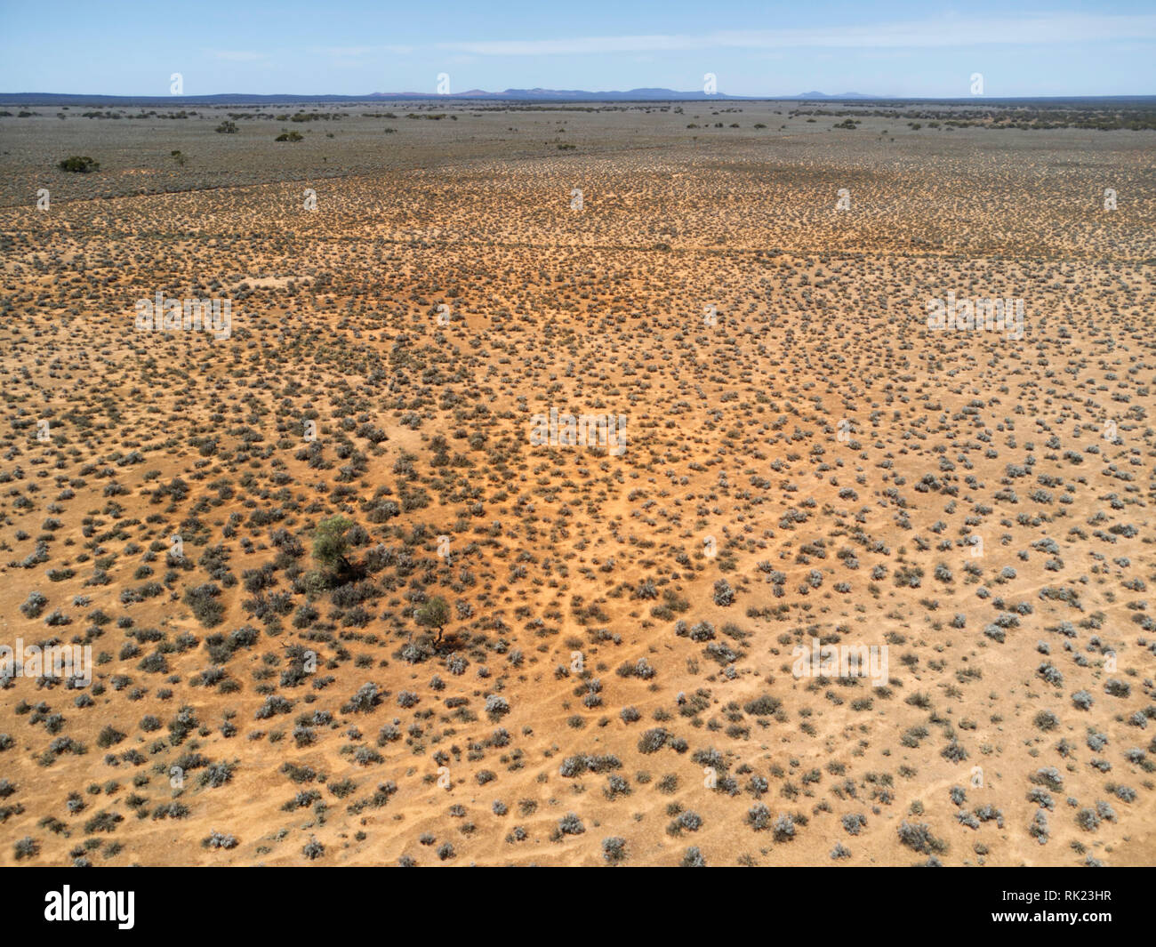 Vue aérienne de pistes à travers des moutons bleus pastrol bush aride de la péninsule d'Eyre pays Australie du Sud Banque D'Images