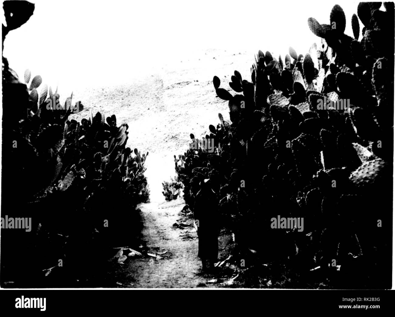Olz Banque D Image Et Photos Alamy