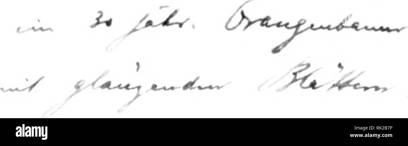 . Arthur et Fritz Kahn Collection 1889-1932. Fritz Kahn, 1888-1968 ; Kahn, Arthur David 1850-1928 ; natural history illustrateurs ; l'histoire naturelle. /. Veuillez noter que ces images sont extraites de la page numérisée des images qui peuvent avoir été retouchées numériquement pour plus de lisibilité - coloration et l'aspect de ces illustrations ne peut pas parfaitement ressembler à l'œuvre originale.. Kahn, Arthur et Fritz. Banque D'Images