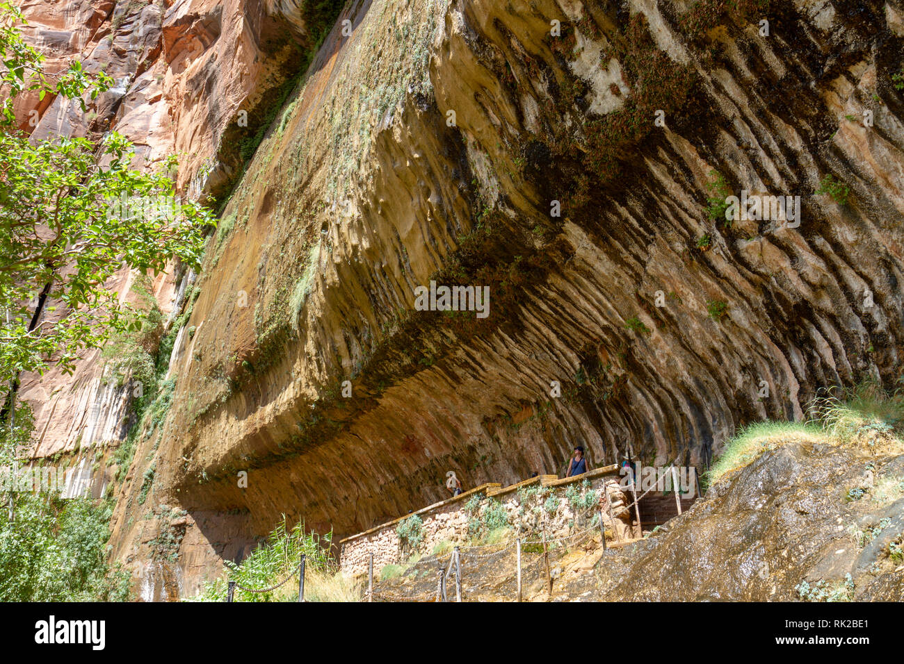 Jusqu'à lors, de Weeping Rock Zion National Park, Springdale, Utah, United States. Banque D'Images