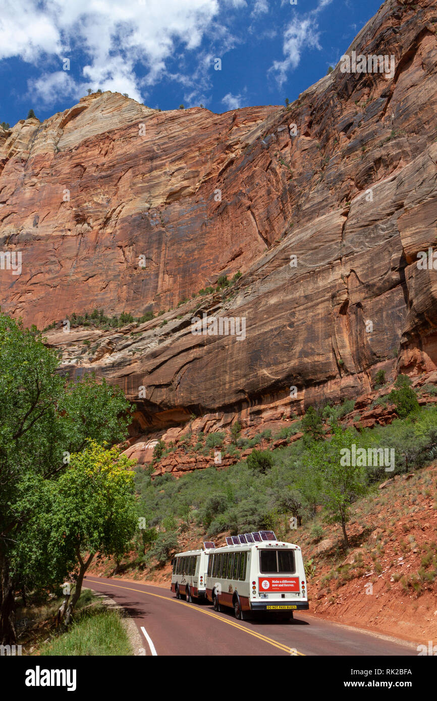 Navette de bus du parc en direction de vue Big Bend passant sous Pierre Mur, Zion National Park, Springdale, Utah, United States. Banque D'Images