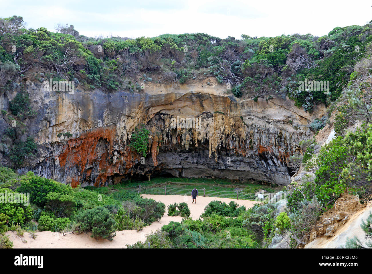 Visiter l'Australie. Le long de la Great Ocean Road. Les voies de la forêt et le grand Parc National d'Otway. Banque D'Images