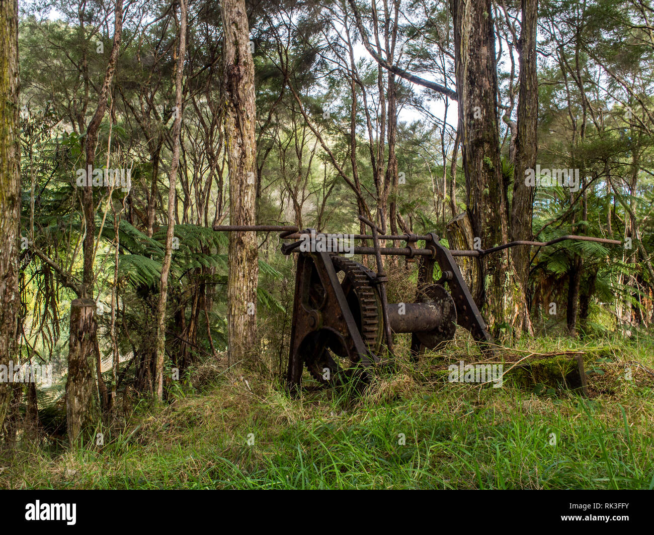 Le guindeau, désaffecté en forêt, autrefois kanuka employé pour le transport de marchandises jusqu'à la rivière, Te Tuhi Landing, Ahuahu, vallée de la rivière Whanganui, Nouvelle-Zélande Banque D'Images