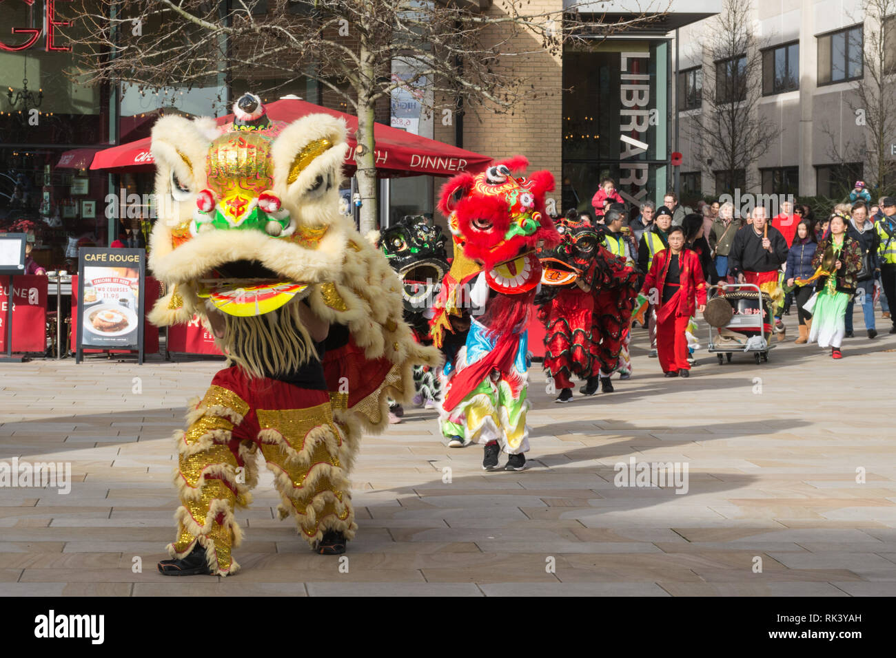 Woking, Surrey, UK. 9 Février, 2019. Le centre-ville de Woking a célébré le Nouvel An chinois du cochon aujourd'hui avec des défilés colorés et des spectacles. Le lion danseurs dans la parade. Banque D'Images