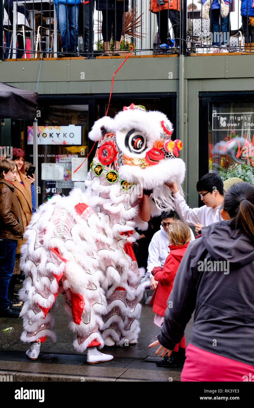 Bristol, Avon, Royaume-Uni. 9 Feb 2019. Les célébrations du Nouvel an chinois avec l'Université de Bristol en troupe de danse du lion. Woky Ko restaurant de bristols Wapping hanche quai a été l'hôte de la Lion Chinois. Les mauvais esprits ont été chassés et des bonbons aux enfants ravis. Crédit © Alamy Live News/Mr Standfast Standfast Crédit : Mr/Alamy Live News Banque D'Images