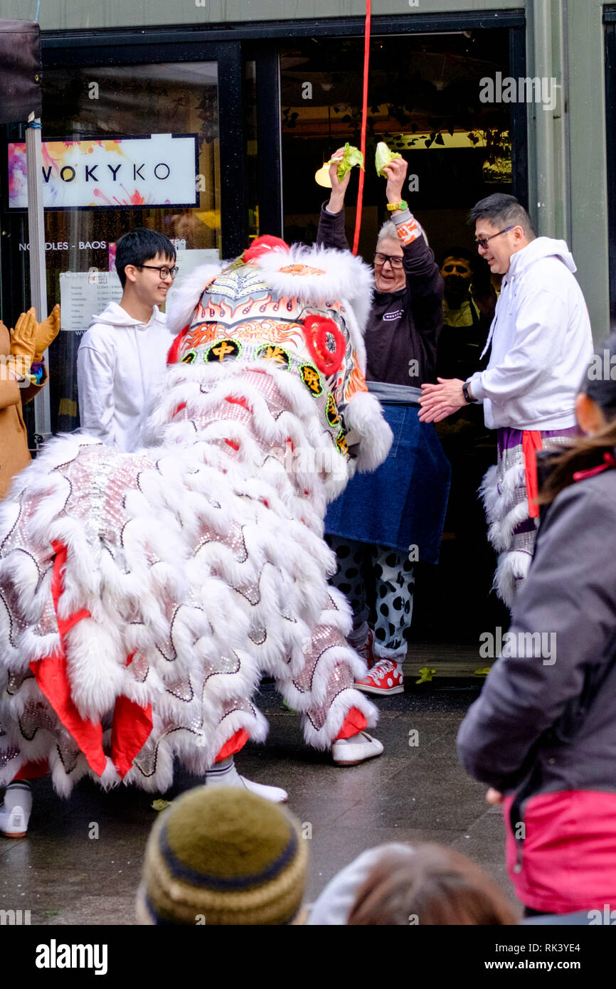 Bristol, Avon, Royaume-Uni. 9 Feb 2019. Les célébrations du Nouvel an chinois avec l'Université de Bristol en troupe de danse du lion. Woky Ko restaurant de bristols Wapping hanche quai a été l'hôte de la Lion Chinois. Les mauvais esprits ont été chassés et des bonbons aux enfants ravis. Crédit © Alamy Live News/Mr Standfast Standfast Crédit : Mr/Alamy Live News Banque D'Images