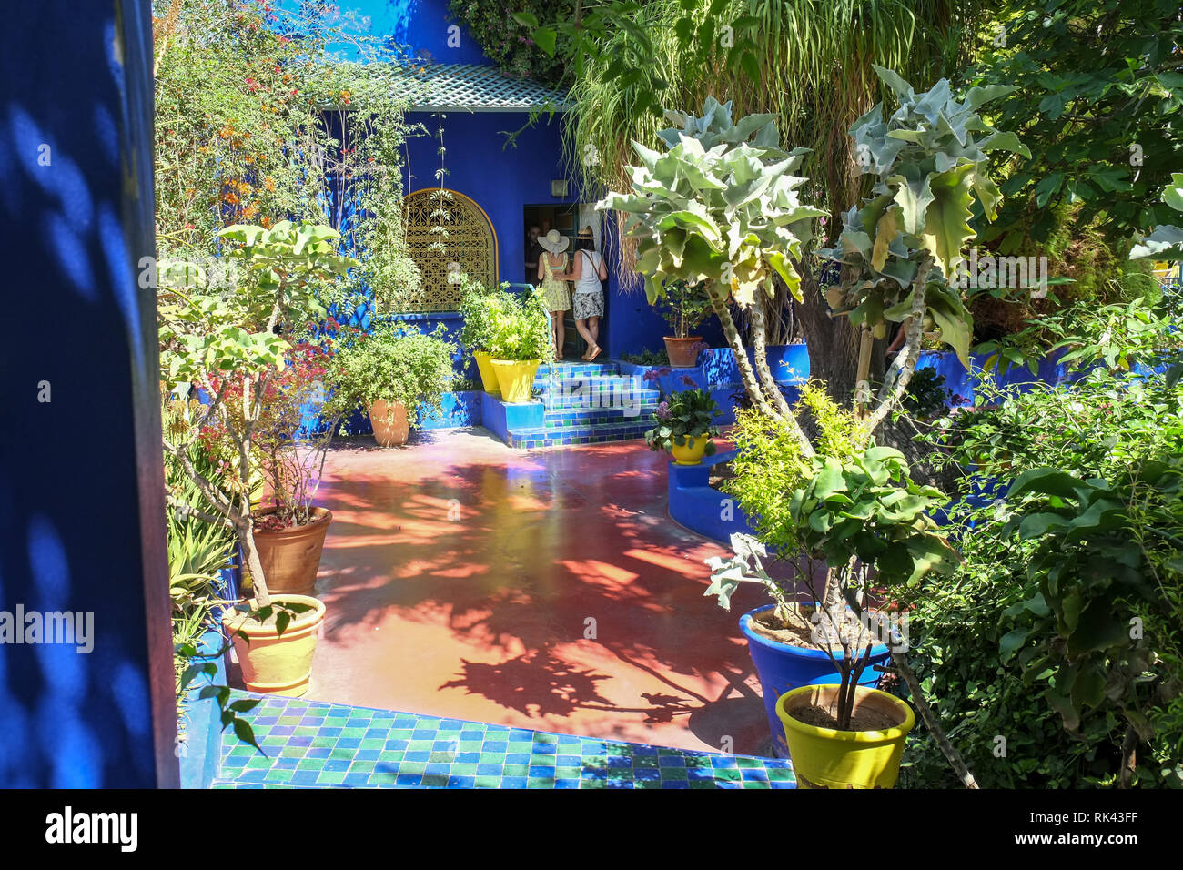 Jardin Majorelle, jardin botanique à Marrakech, Maroc Banque D'Images
