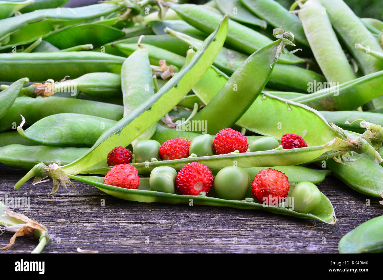 Alimentaire vert et rouge - les fraises et les pois en dosettes et gousses vert frais en arrière-plan sur la vieille table en chêne Banque D'Images