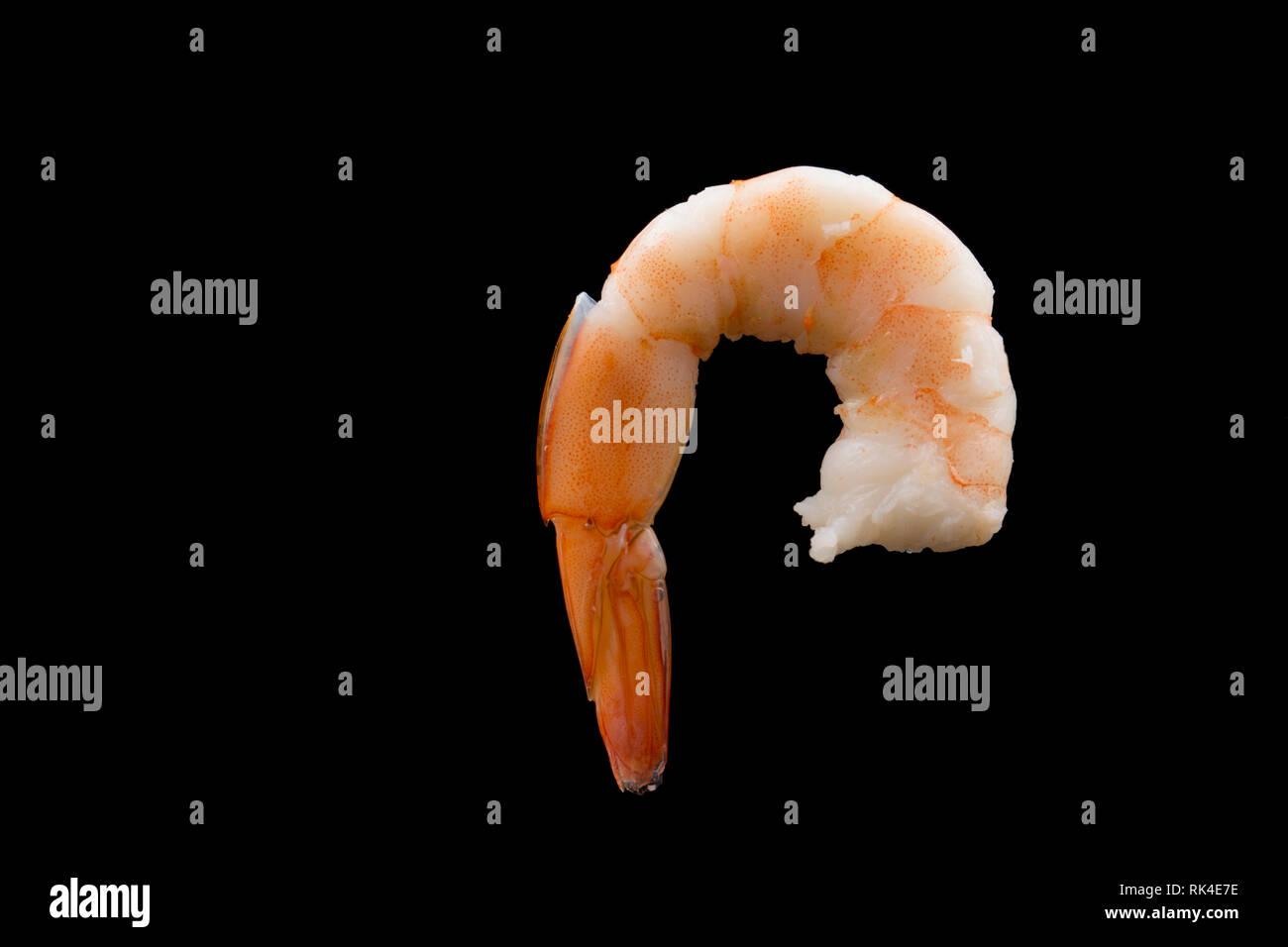 Cuite, d'élevage de crevettes king jumbo, Litopenaeus vannamei, acheté dans un supermarché au Royaume-Uni et importés de l'Extrême-Orient. England UK GB. Photographié Banque D'Images