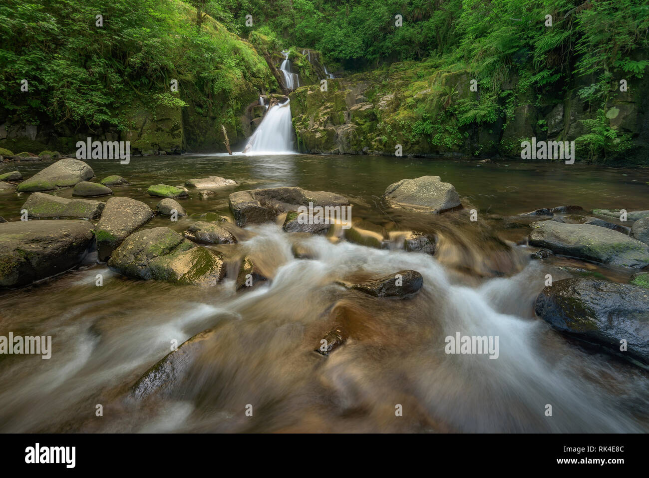 Sweet Creek cascades, forêt nationale de Siuslaw, Oregon. Banque D'Images