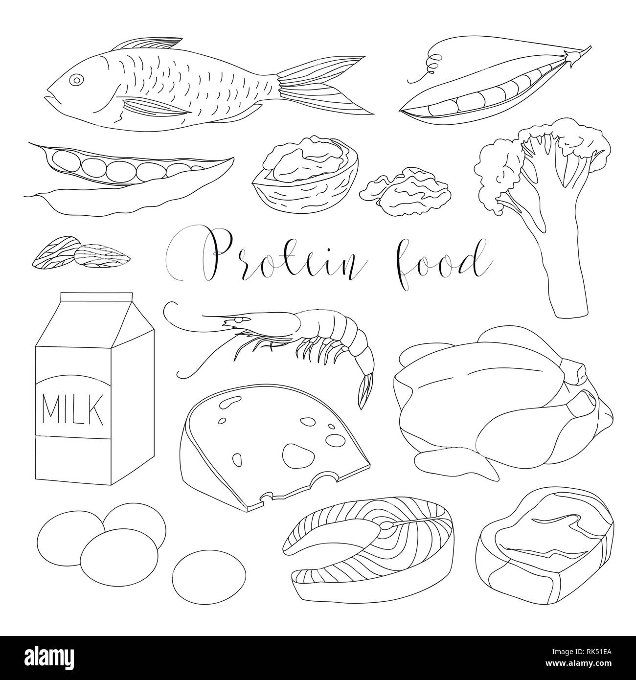 Meilleures protéines des icônes pour une alimentation saine avec le saumon et le poulet aux amandes haricots illustrations vectorielles Illustration de Vecteur