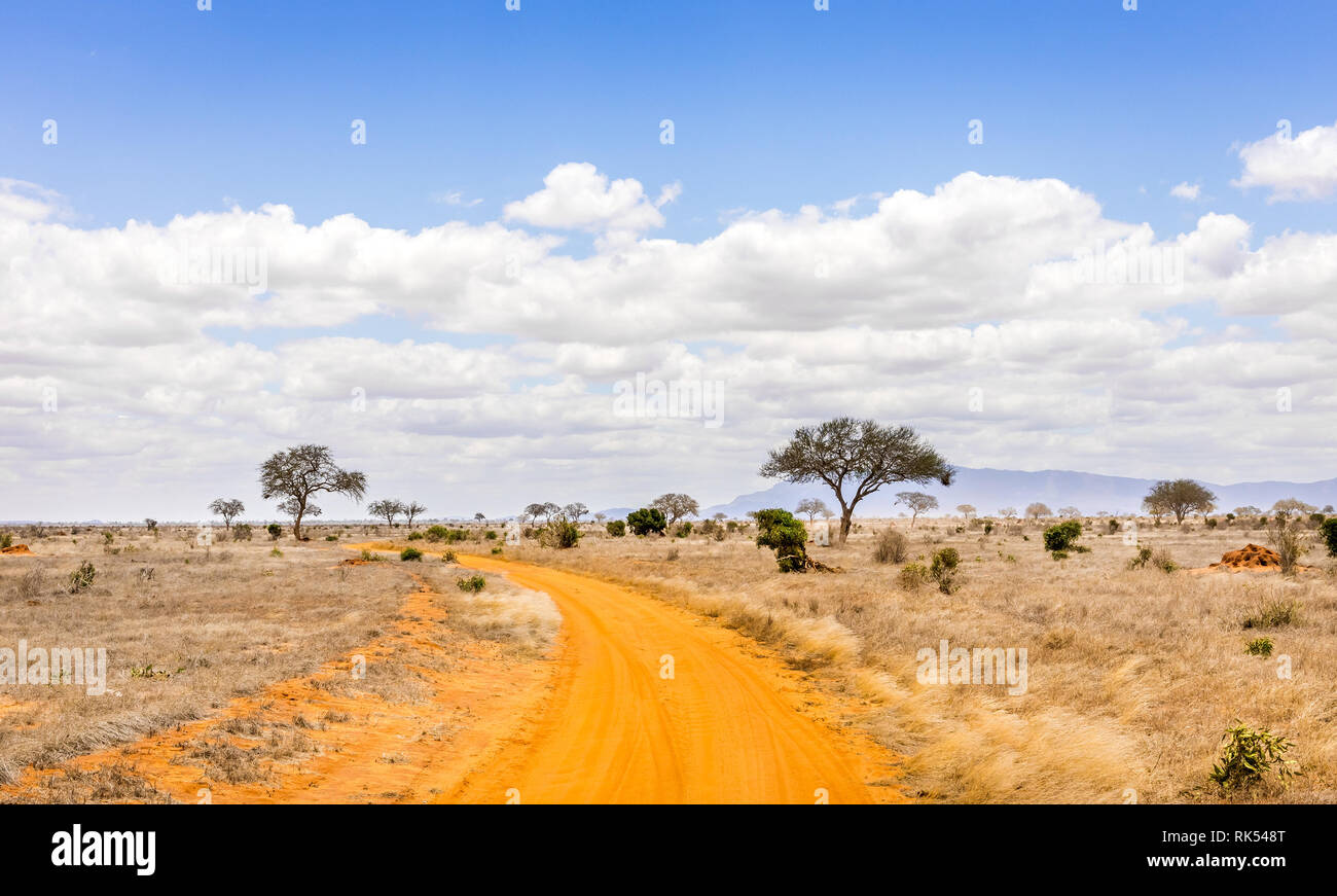Les plaines de savane incroyable paysage et route safari au Kenya Banque D'Images