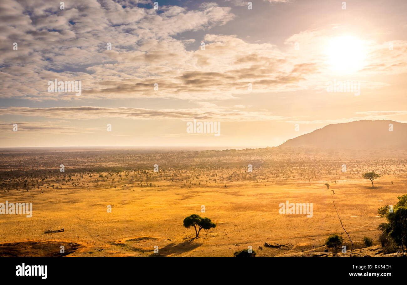 Incroyable coucher du soleil à plaines de savane à Tsavo East National Park, Kenya Banque D'Images