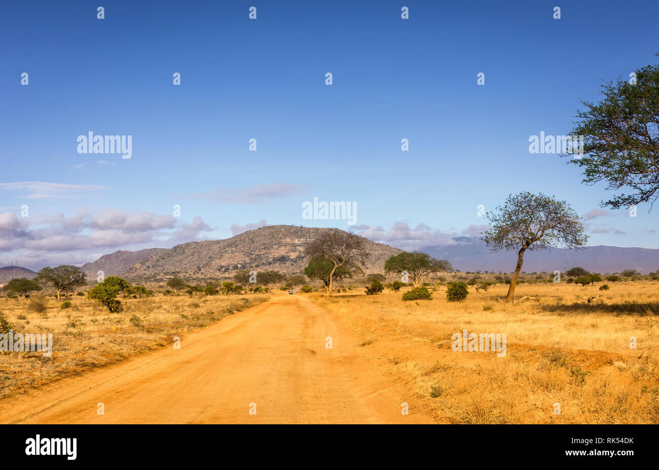 Les plaines de savane incroyable paysage et route safari au Kenya Banque D'Images