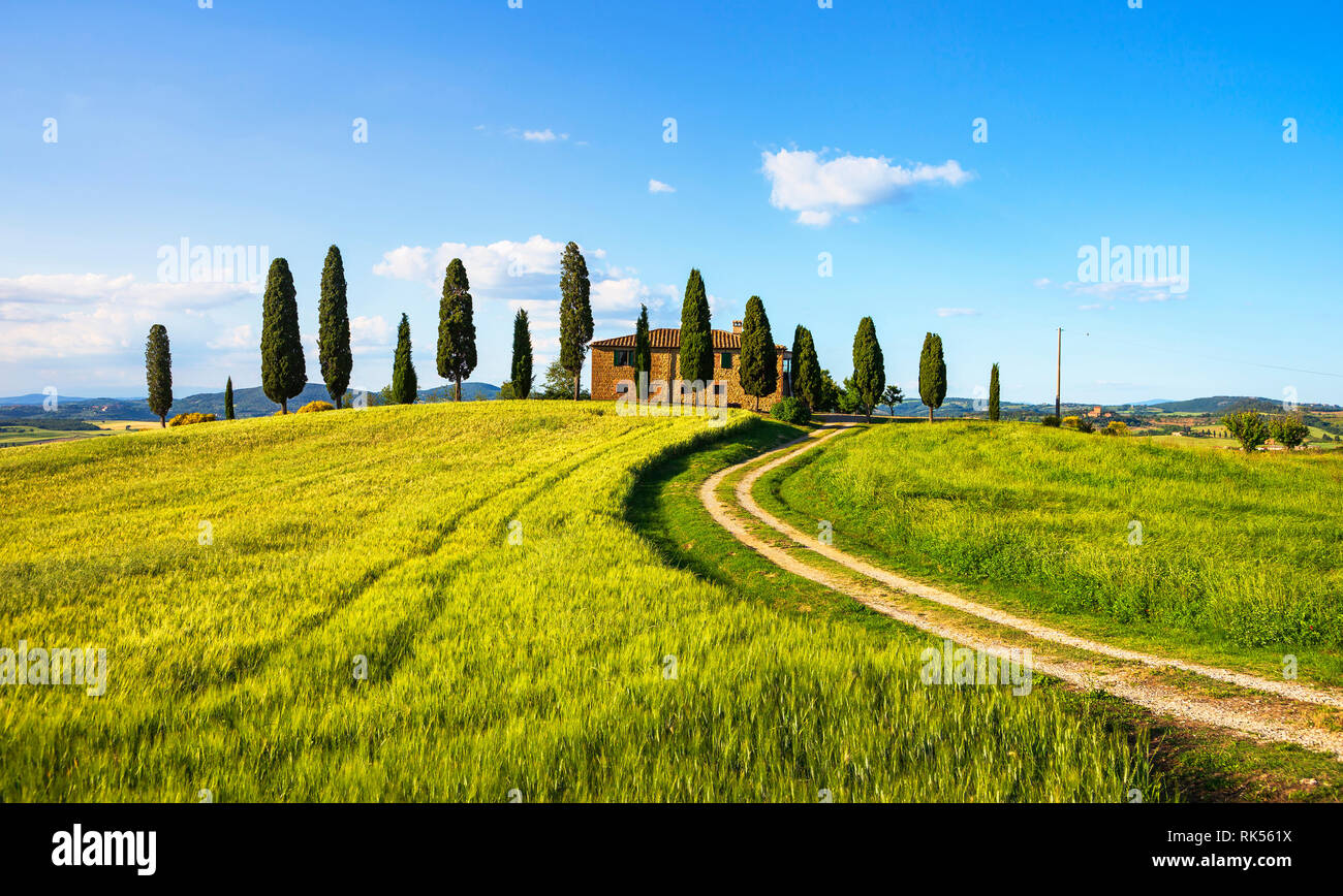 PIENZA, TOSCANE / ITALIE - 29 mai 2015 : terres agricoles emblématiques JE Cipressini, italien de cyprès et rural route blanche au printemps. Situé à Sienne countrysi Banque D'Images