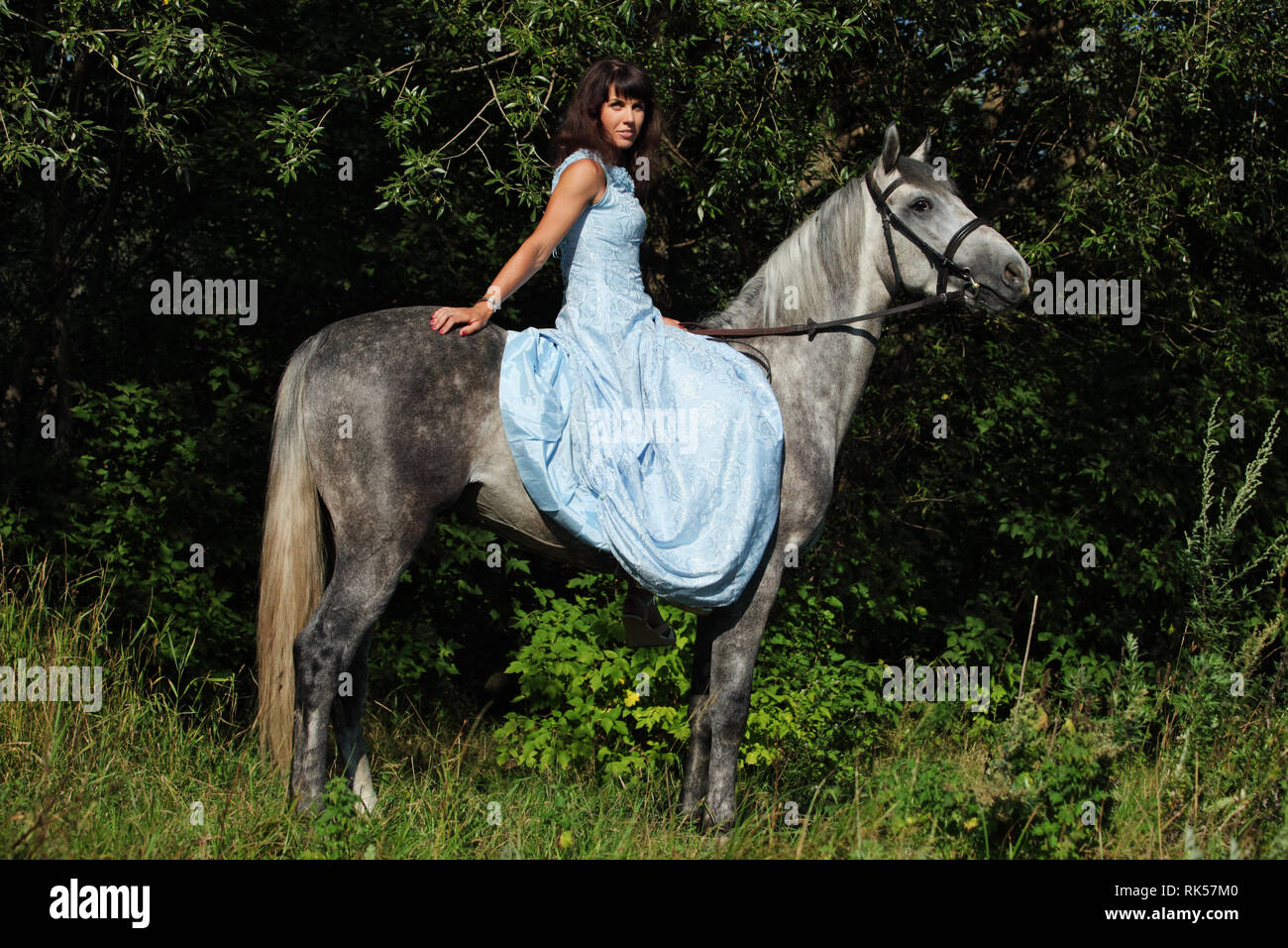 Belle femme brune avec de longs cheveux et robe bleue dans les bois avec cheval gris pommelé Banque D'Images