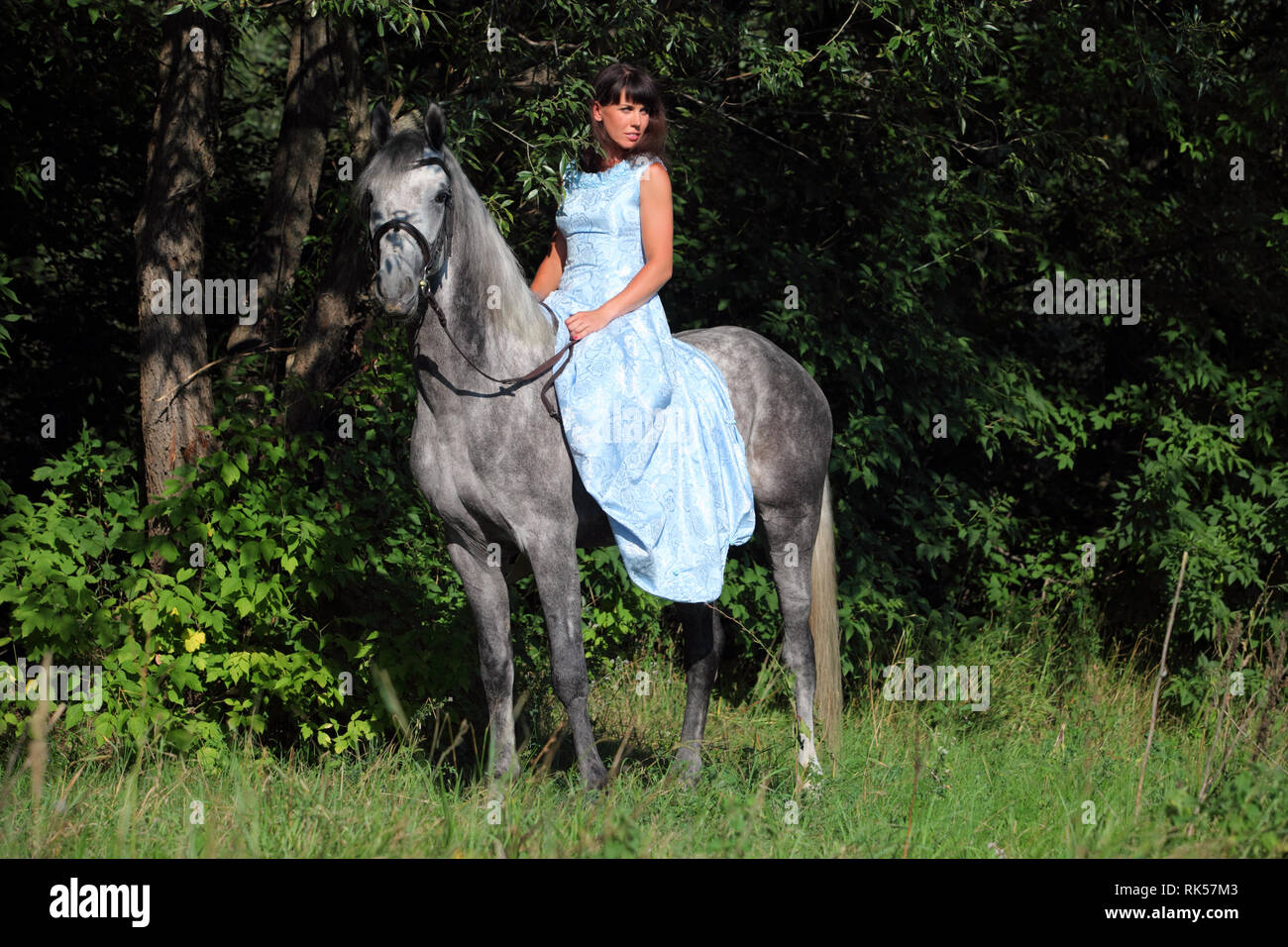 Belle femme brune avec de longs cheveux et robe bleue dans les bois avec cheval gris pommelé Banque D'Images