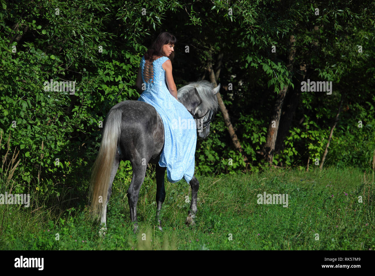 Belle femme brune avec de longs cheveux et robe bleue dans les bois avec cheval gris pommelé Banque D'Images