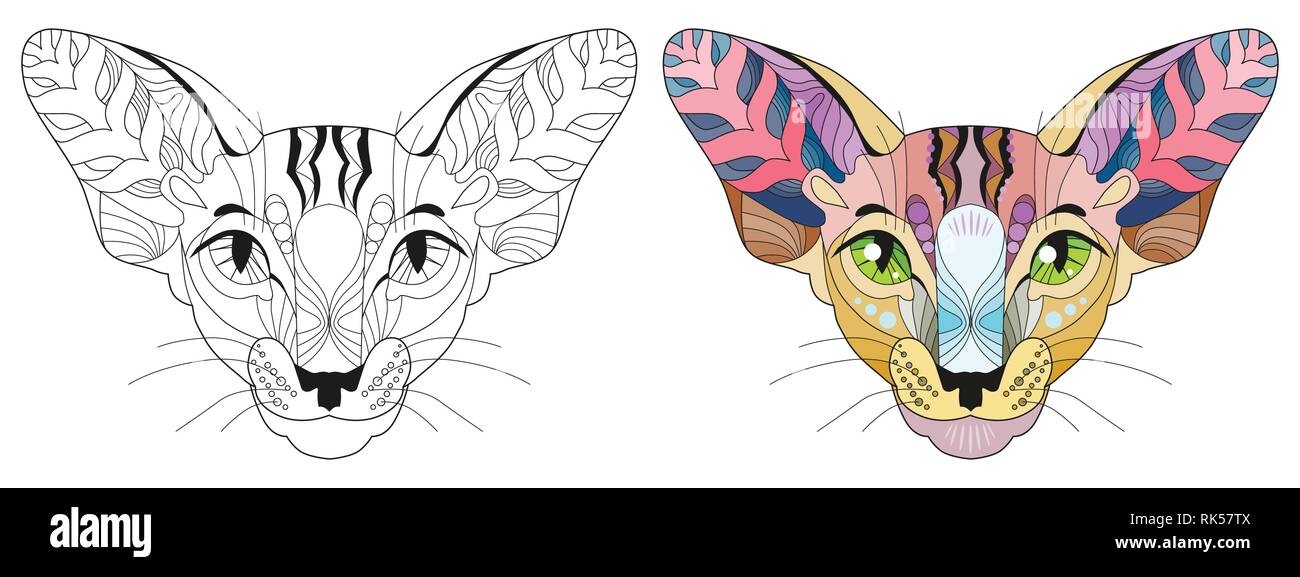 Tete Stylisee Zentangle De Chat Illustration Vecteur De Dentelle A La Main Couleur Et Contours Definis Image Vectorielle Stock Alamy Tete Stylisee Zentangle De Chat Illustration Vecteur De Dentelle A La Main Couleur Et Contours Definis Image Vectorielle Stock Alamy